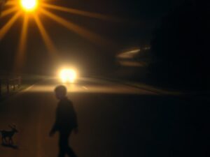 Jazda nocą samochodem – widoczność, zmęczenie i bezpieczeństwo pieszych oraz zwierząt