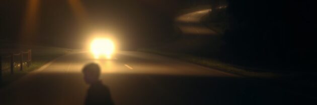 Jazda nocą samochodem – widoczność, zmęczenie i bezpieczeństwo pieszych oraz zwierząt